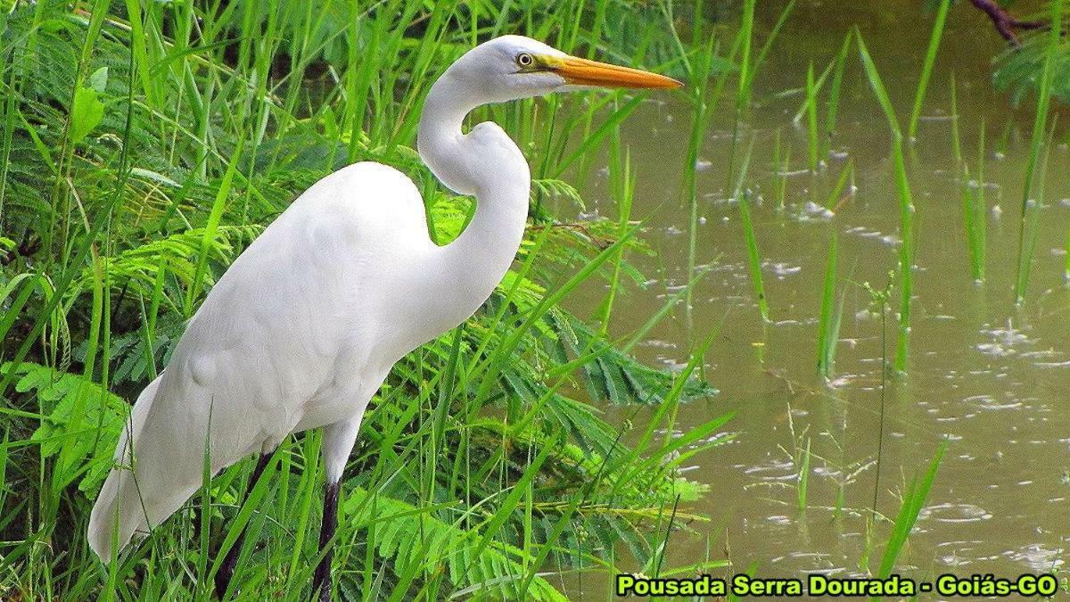 Pousada Serra Dourada Goiás 外观 照片